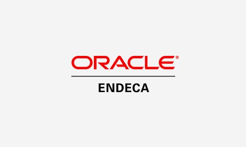 ORACLE ENDECA