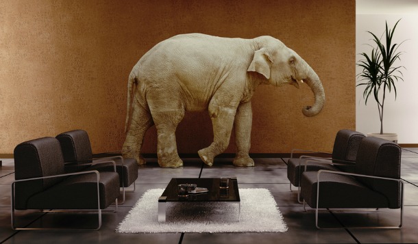 Contingency budgets – the eCommerce elephant in the room