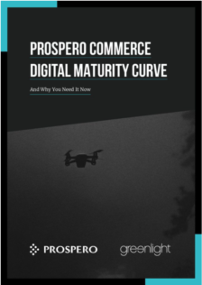 Digital Maturity Curve mini WP cover